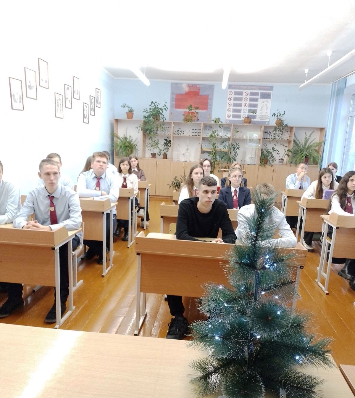 нов2.jpg нов2.jpg