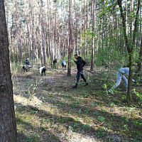 Работники главного управления юстиции Гродненского облисполкома и Гродненских территориальных отделов принудительного исполнения приняли участие в санитарной уборке лесного массива в районе улицы Томина в г. Гродно.