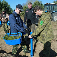 Республиканская акция «Неделя леса» проходит в Беларуси с 13 по 20 апреля.