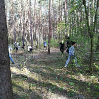 Работники главного управления юстиции Гродненского облисполкома и Гродненских территориальных отделов принудительного исполнения приняли участие в санитарной уборке лесного массива в районе улицы Томина в г. Гродно.