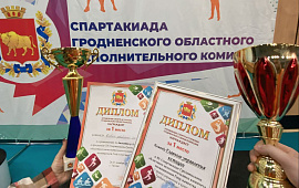 Абсолютная победа